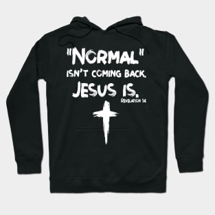 Normal Isn't Coming Back But Jesus Is Revelation 14 Costume Gift Women Men Shirt Hoodie